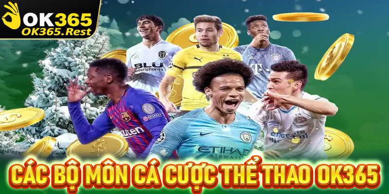 Các bộ môn cá cược thể thao OK365 đang thống lĩnh thị trường Châu Á